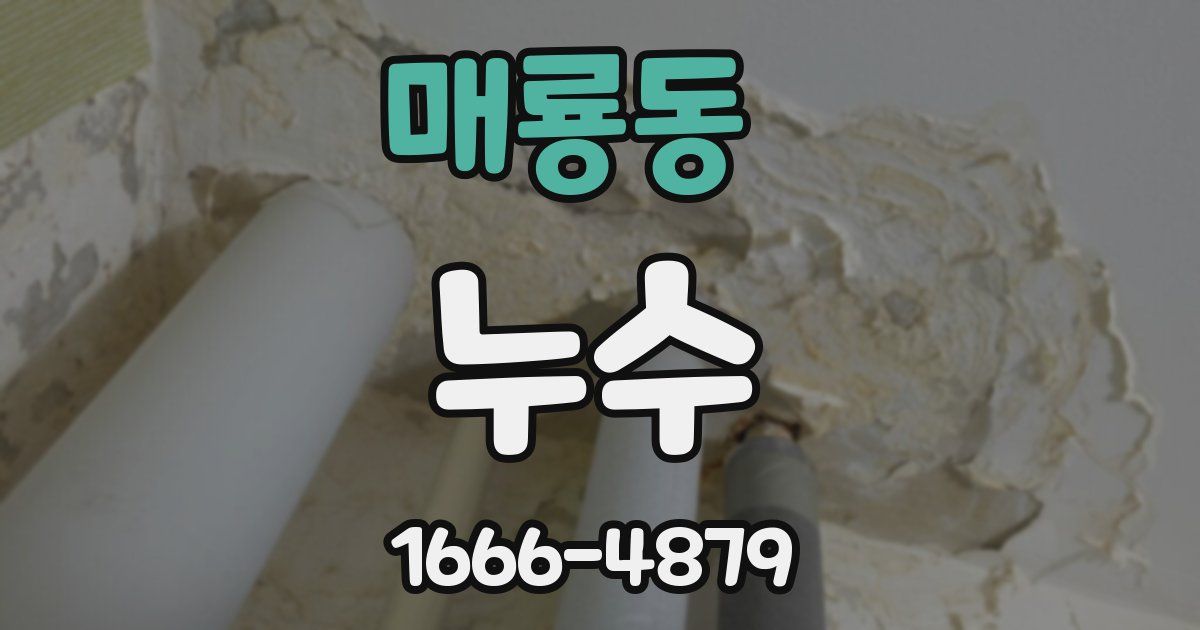 매룡동 누수