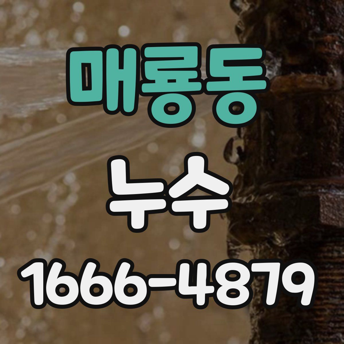 매룡동 누수