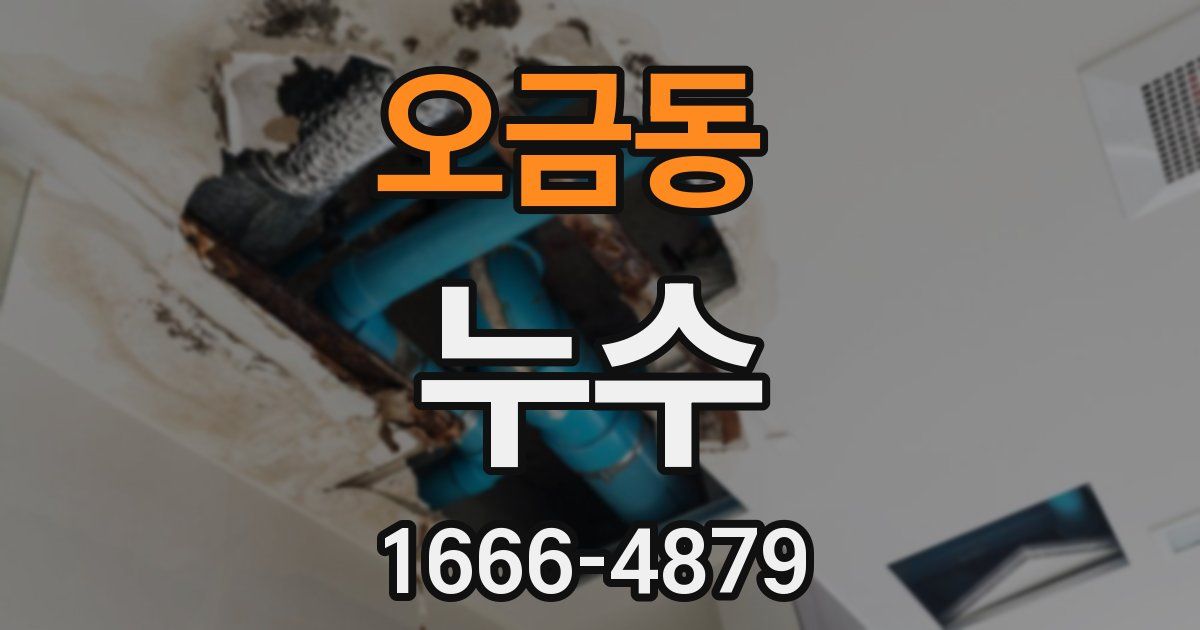 오금동 누수