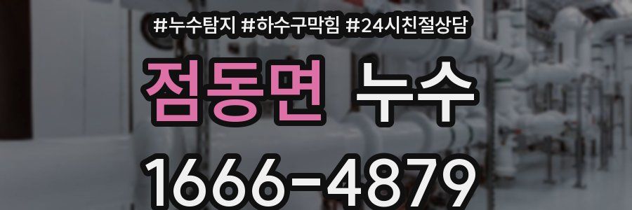 점동면 누수