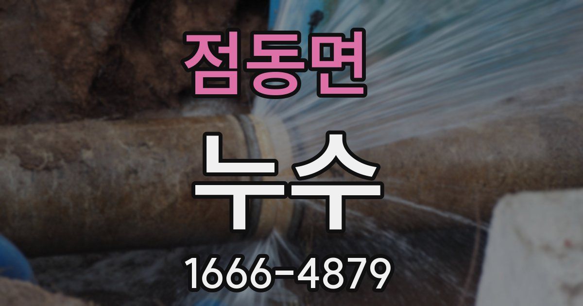 점동면 누수