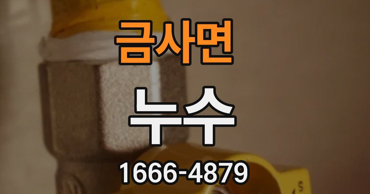 금사면 누수