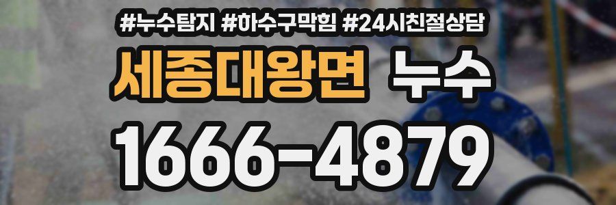 세종대왕면 누수