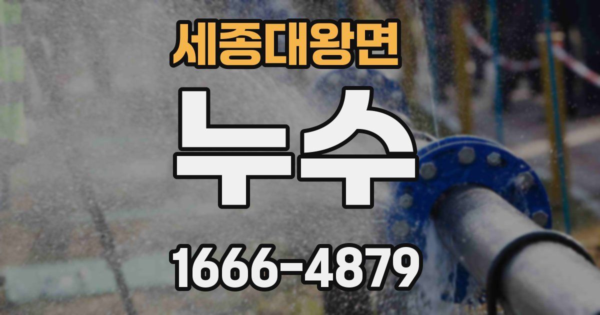 세종대왕면 누수