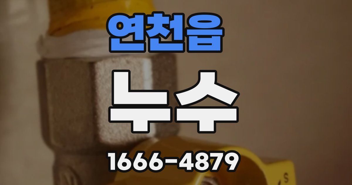 연천읍 누수