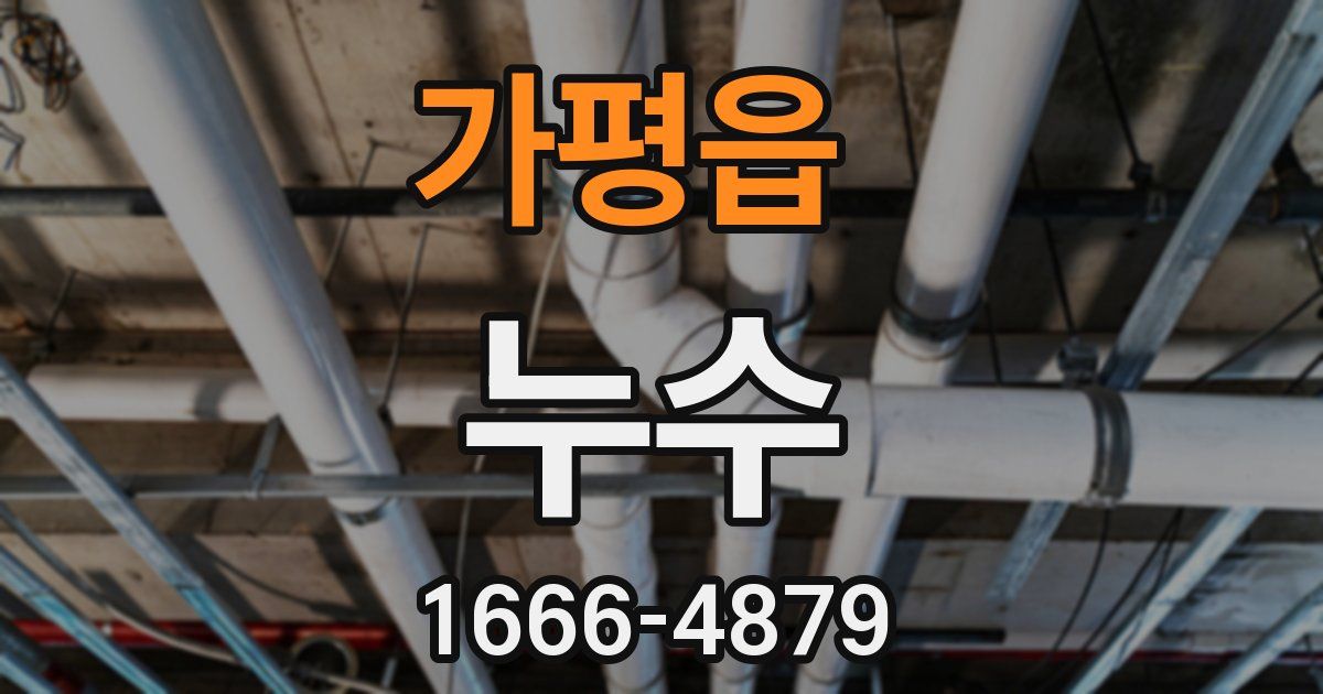 가평읍 누수