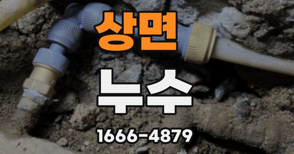 상면 누수