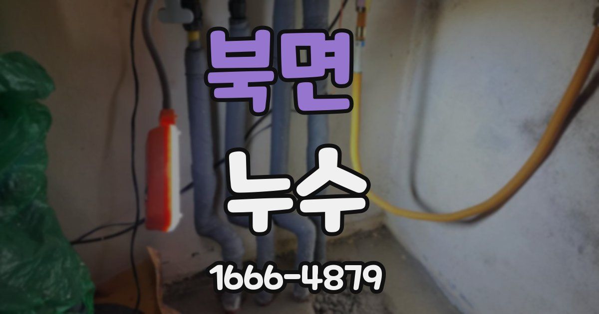 북면 누수