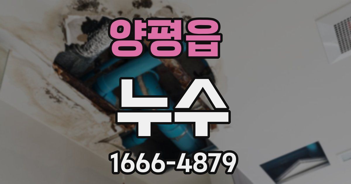 양평읍 누수