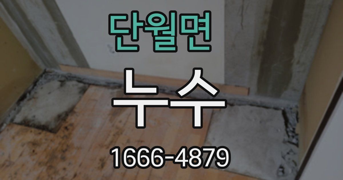 단월면 누수
