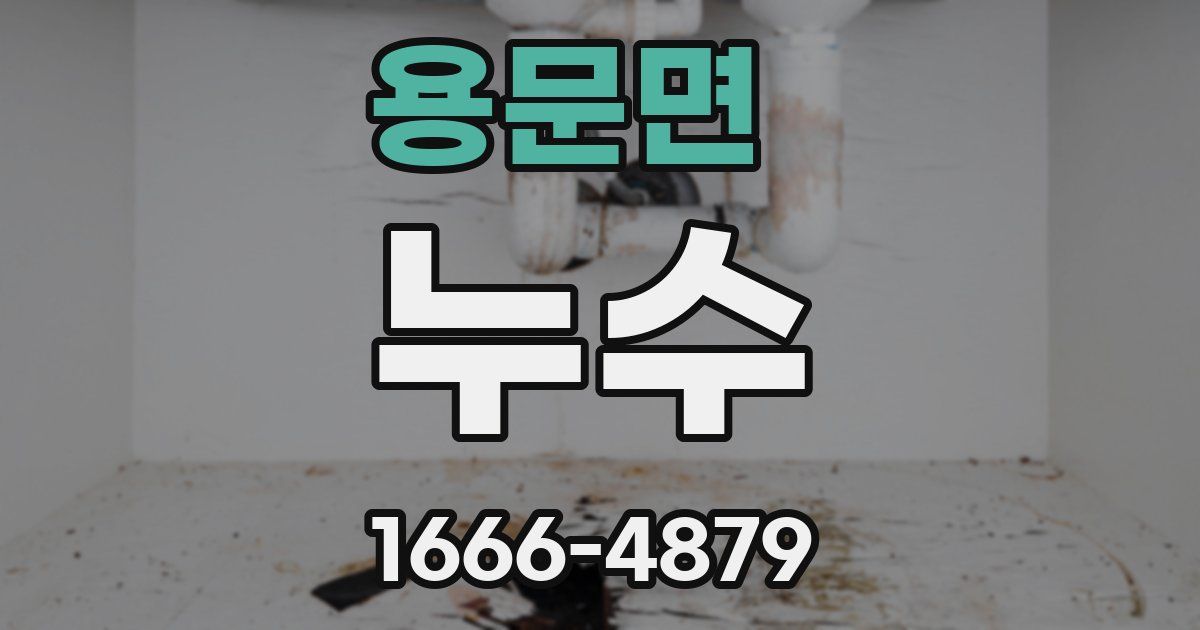 용문면 누수