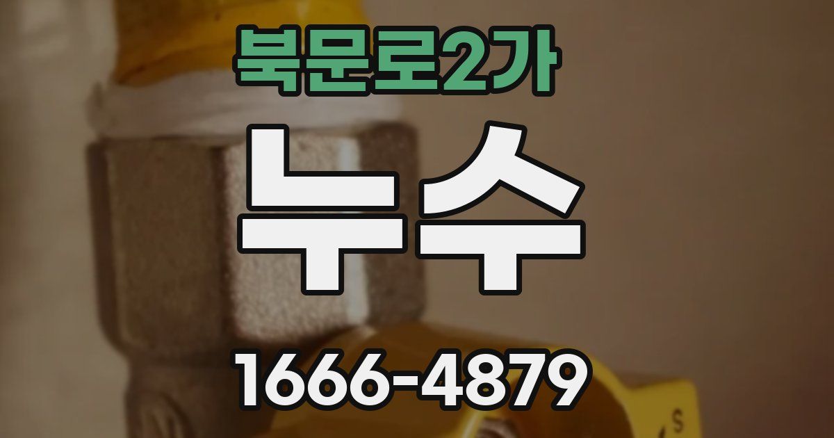 북문로2가 누수