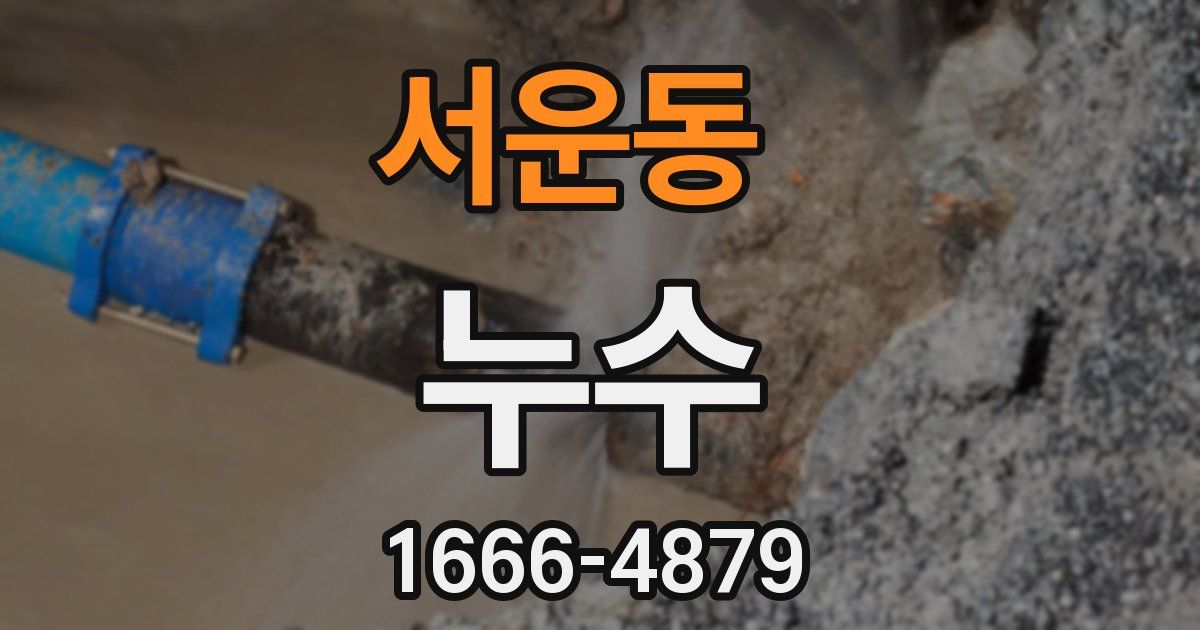 서운동 누수