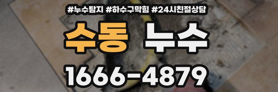 수동 누수