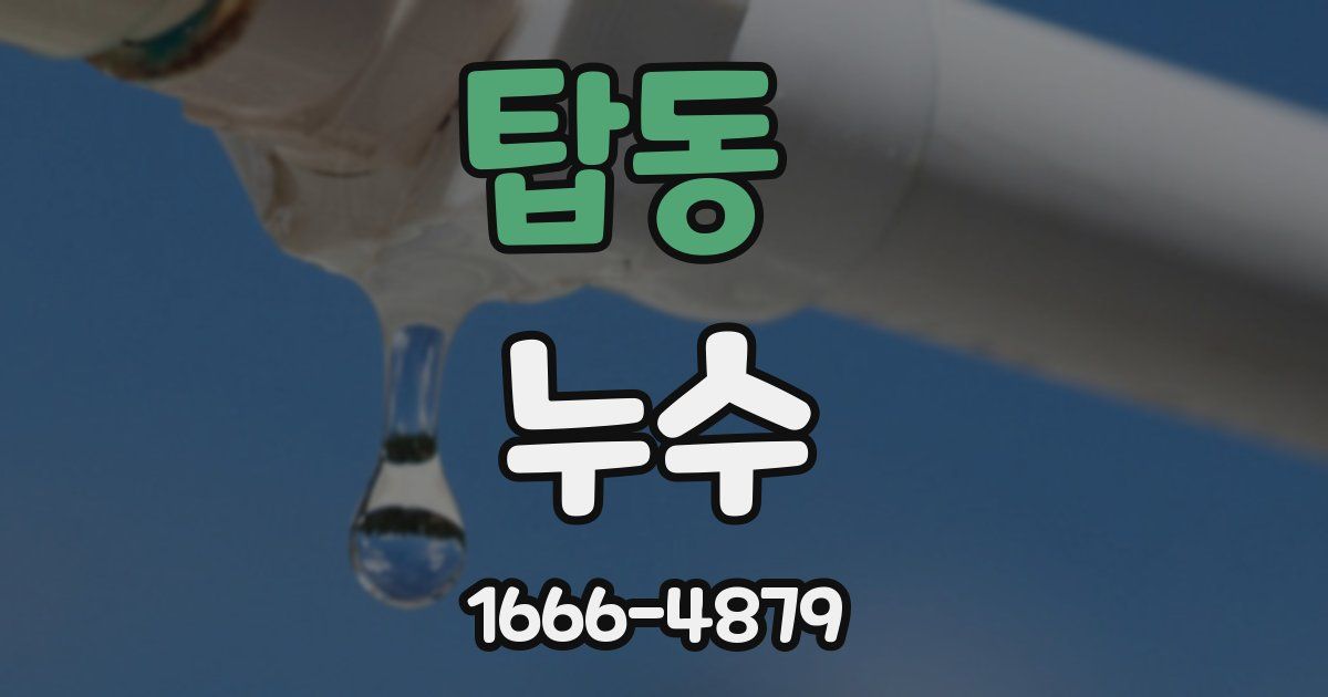 탑동 누수