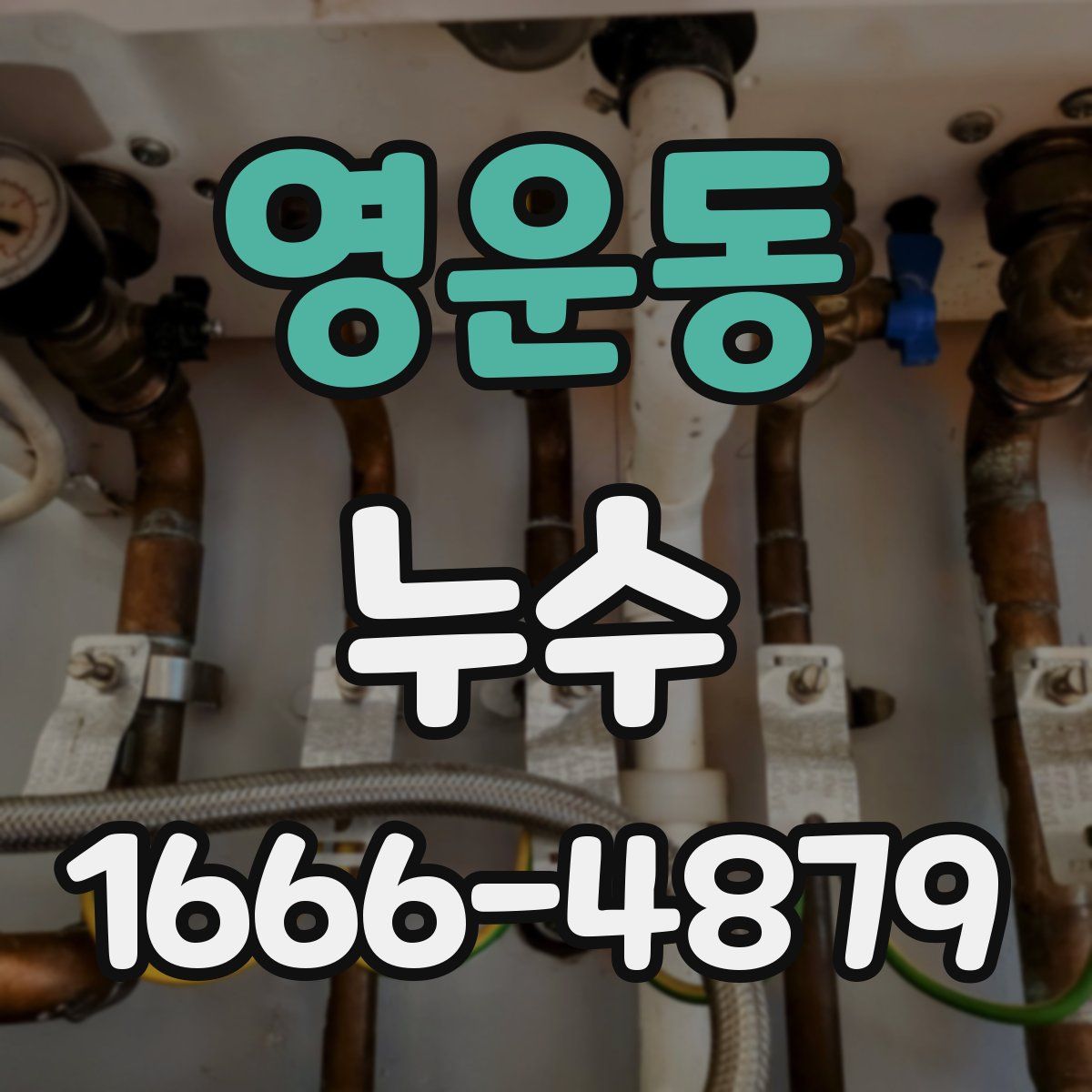 영운동 누수