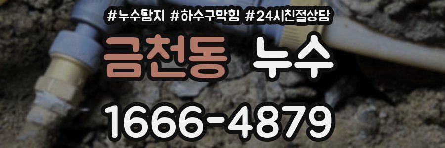 금천동 누수