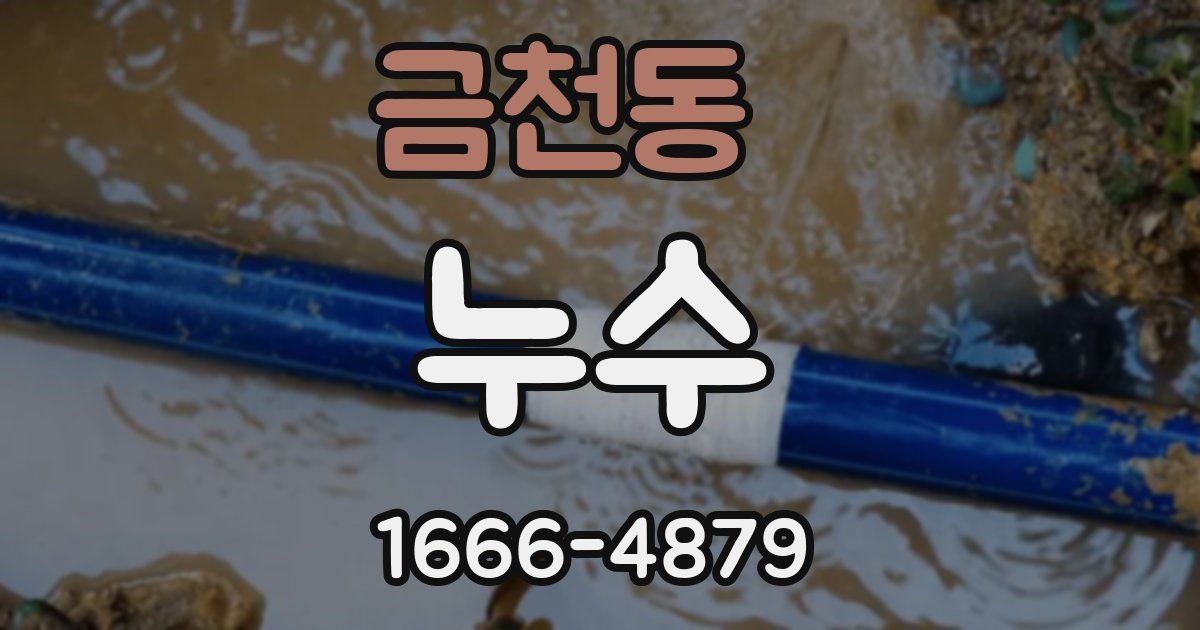 금천동 누수