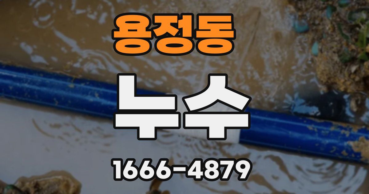 용정동 누수