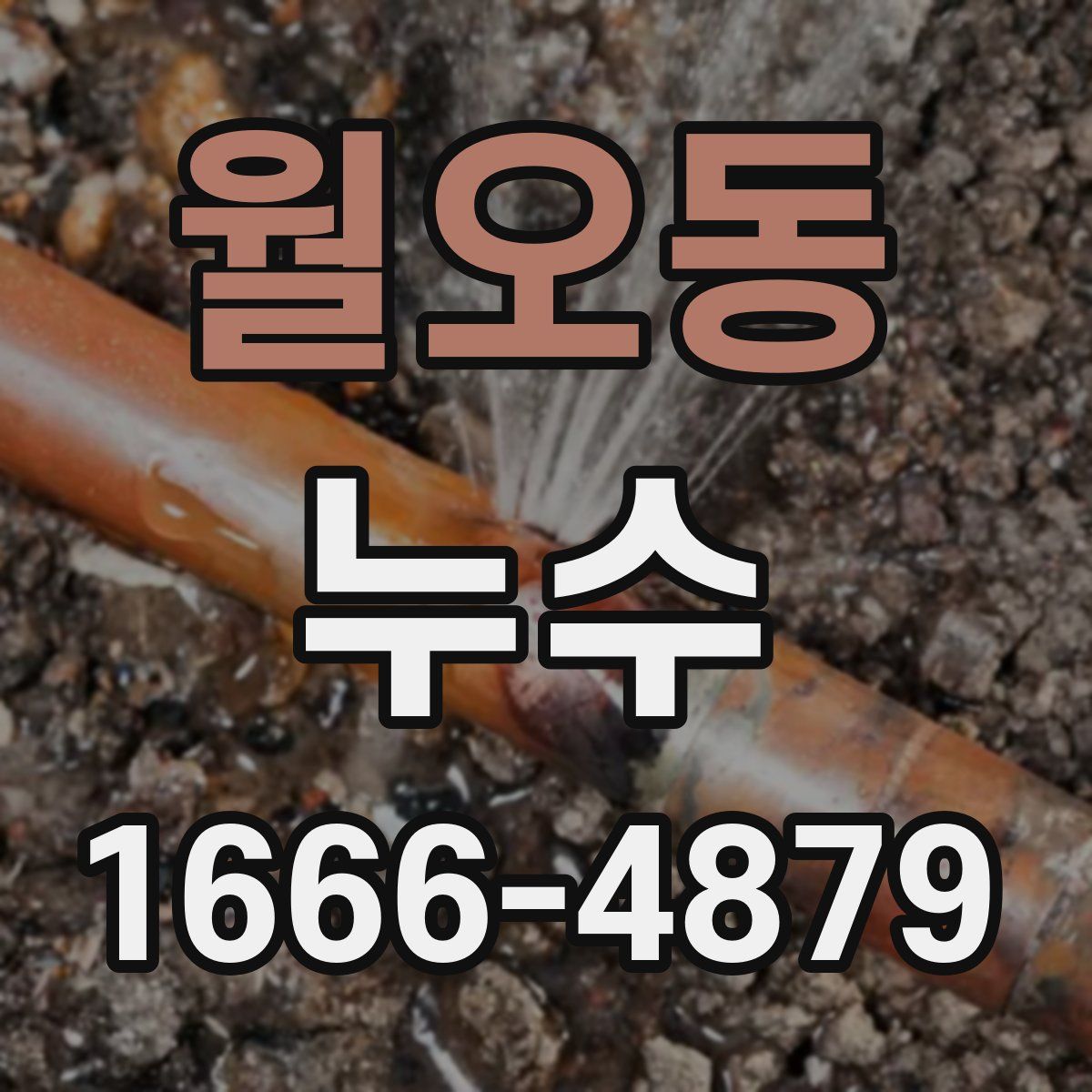 월오동 누수