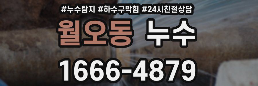 월오동 누수
