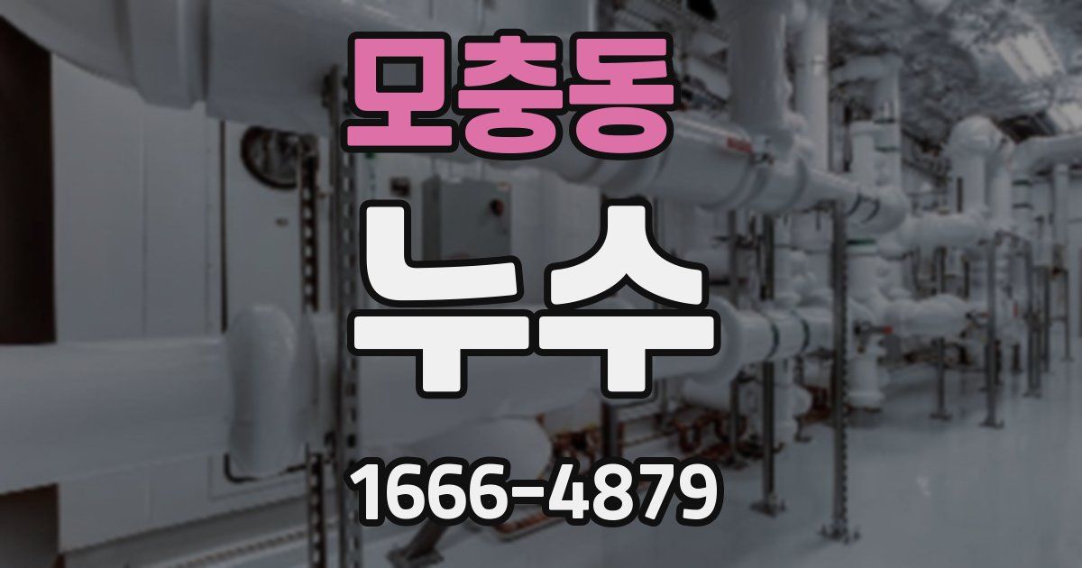 모충동 누수