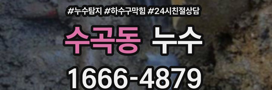 수곡동 누수
