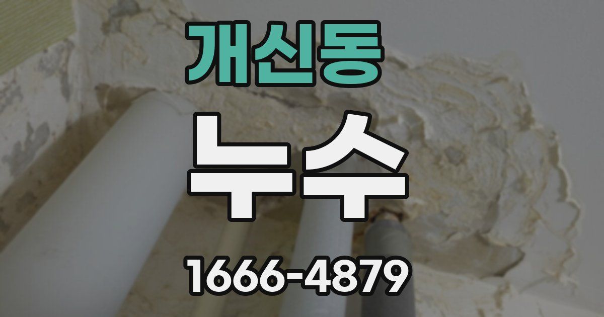 개신동 누수