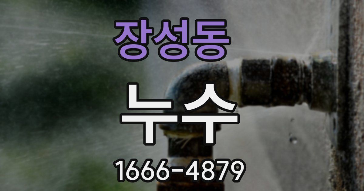 장성동 누수