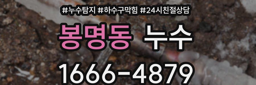 봉명동 누수