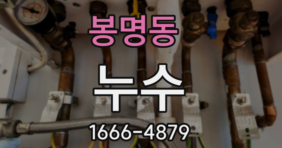 봉명동 누수