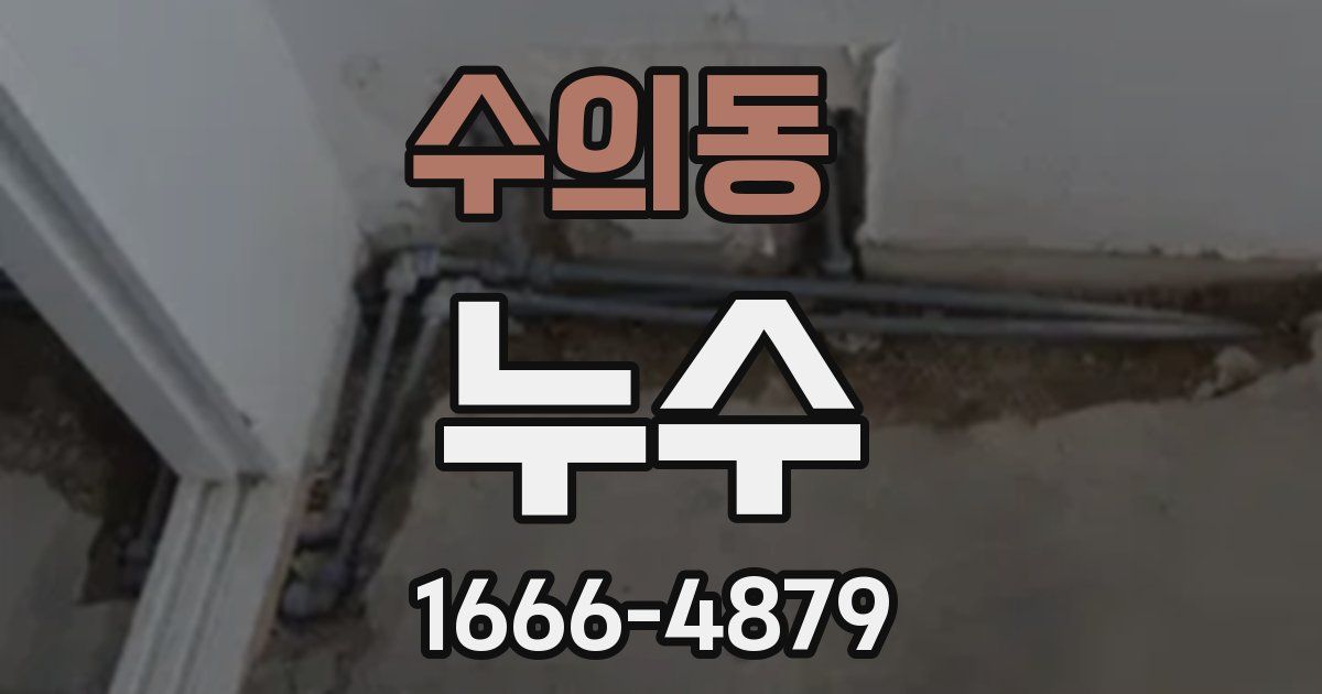 수의동 누수
