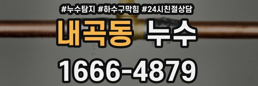 내곡동 누수