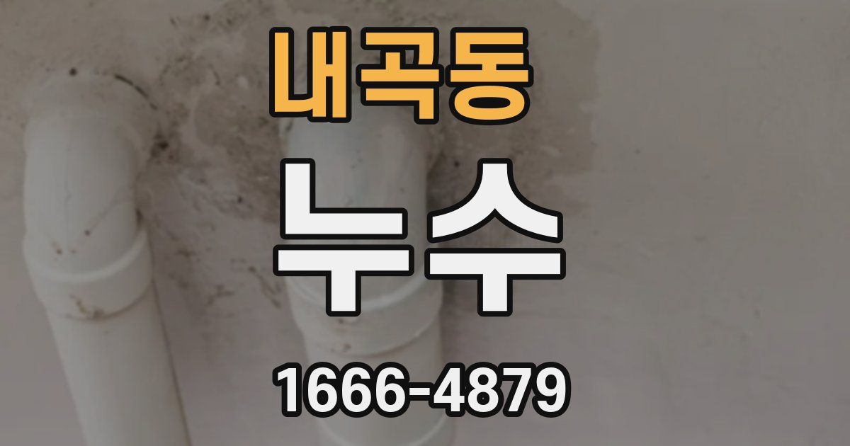 내곡동 누수