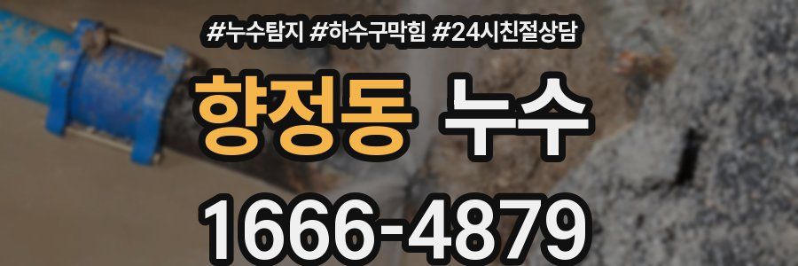 향정동 누수