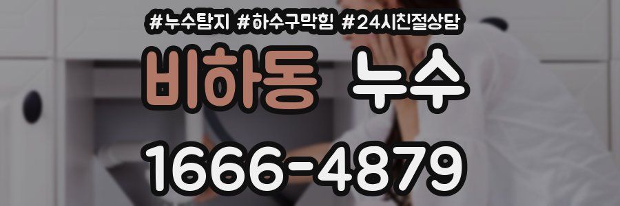 비하동 누수