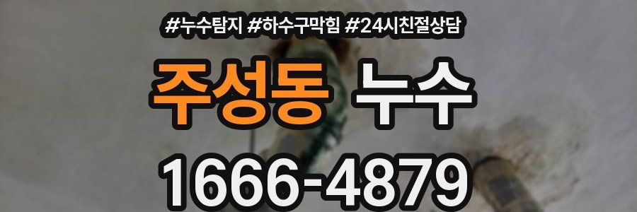 주성동 누수
