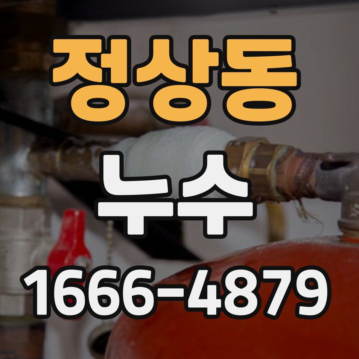 정상동 누수