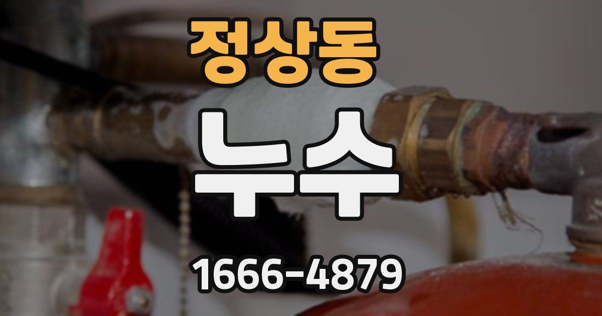 정상동 누수
