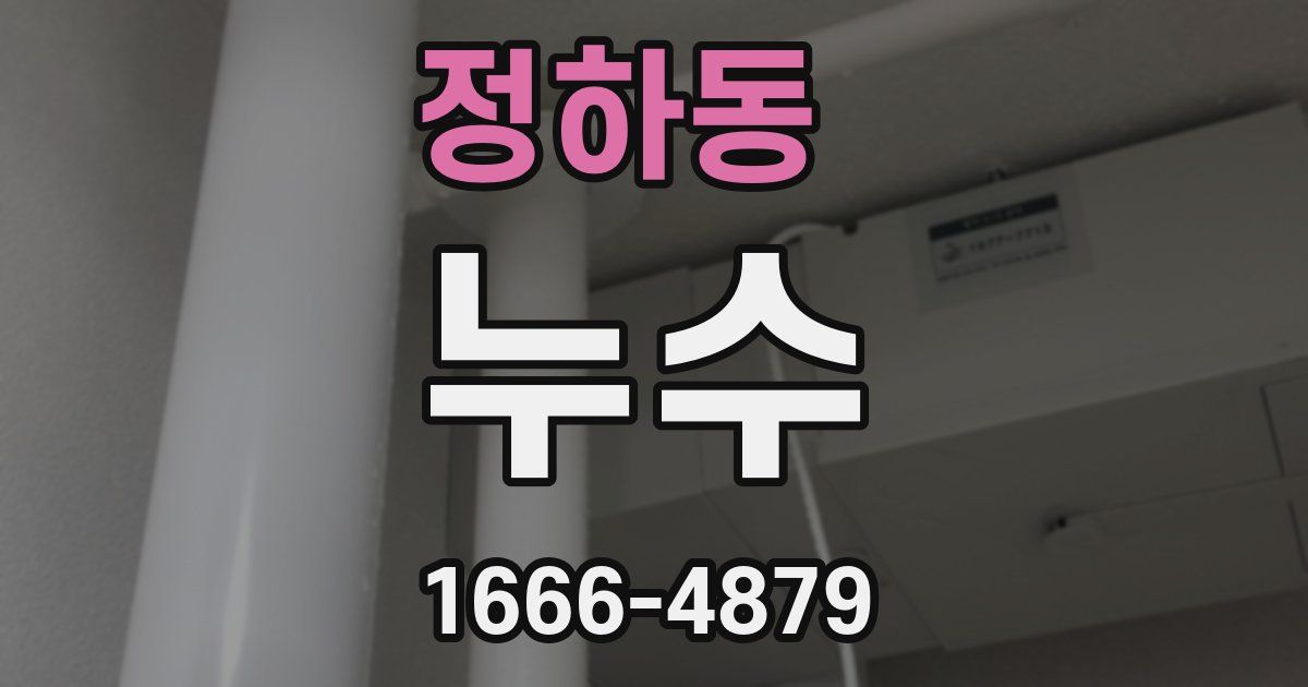 정하동 누수
