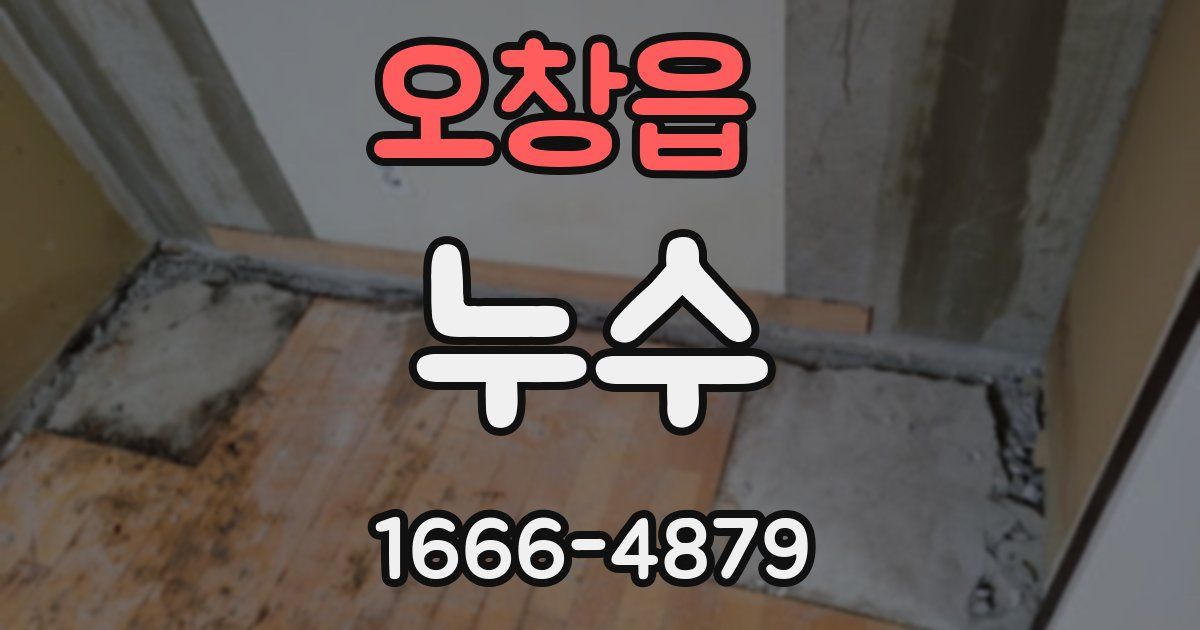 오창읍 누수