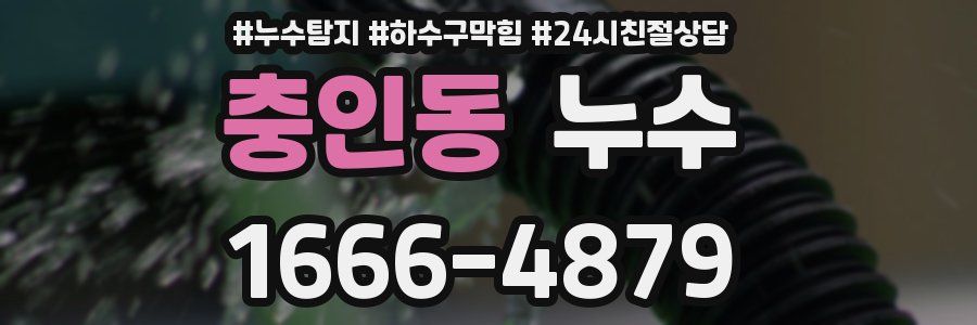 충인동 누수