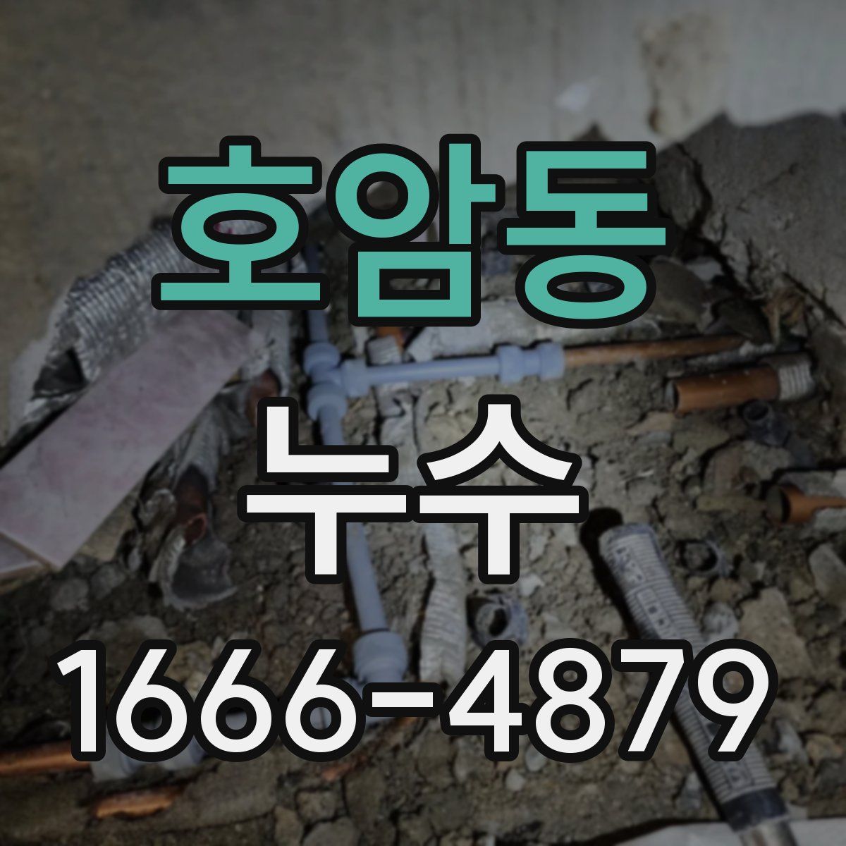 호암동 누수