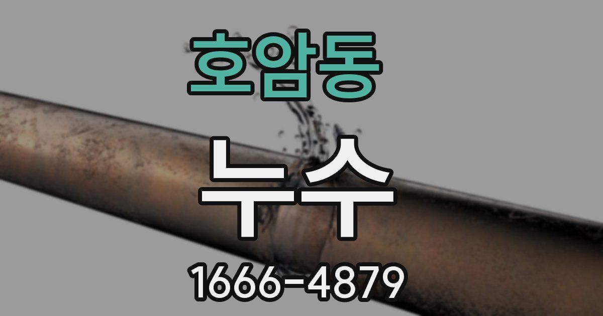 호암동 누수