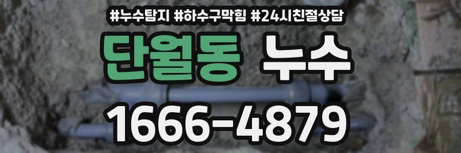 단월동 누수