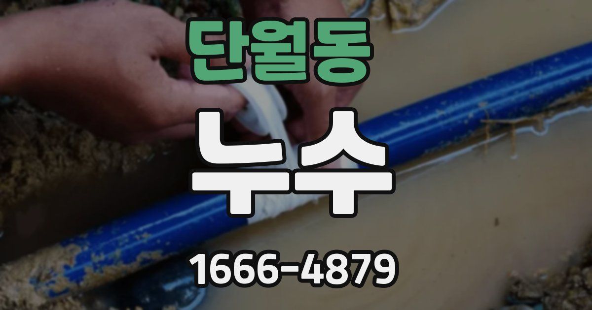단월동 누수
