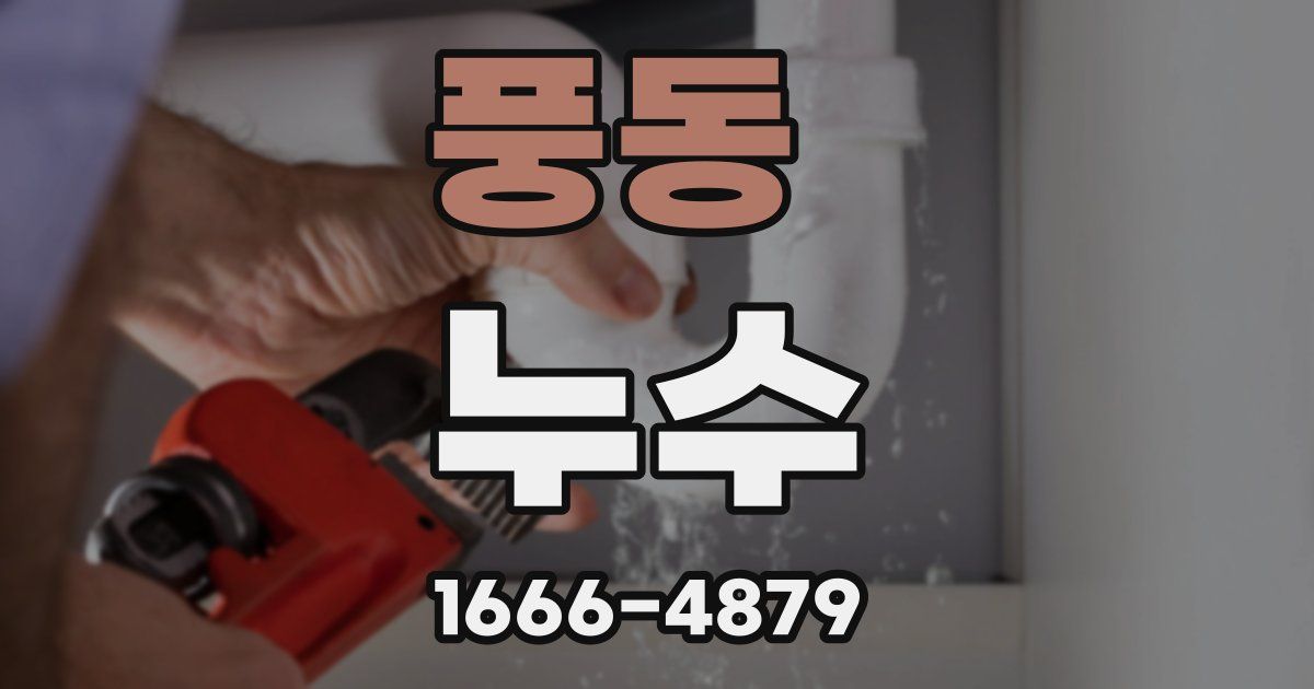 풍동 누수