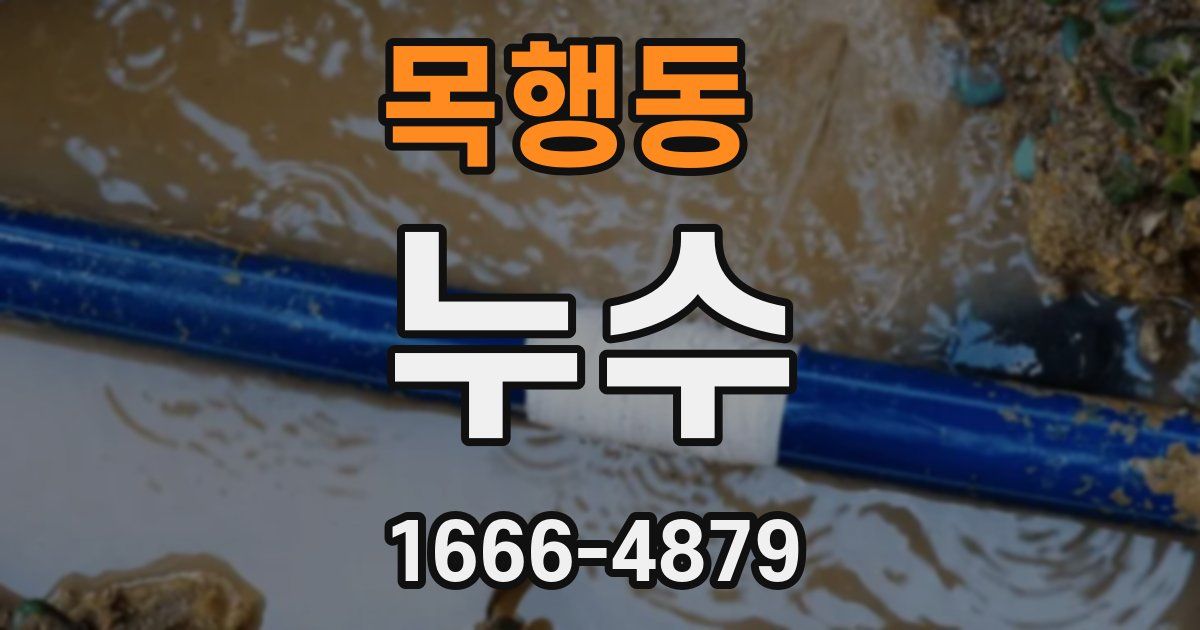 목행동 누수