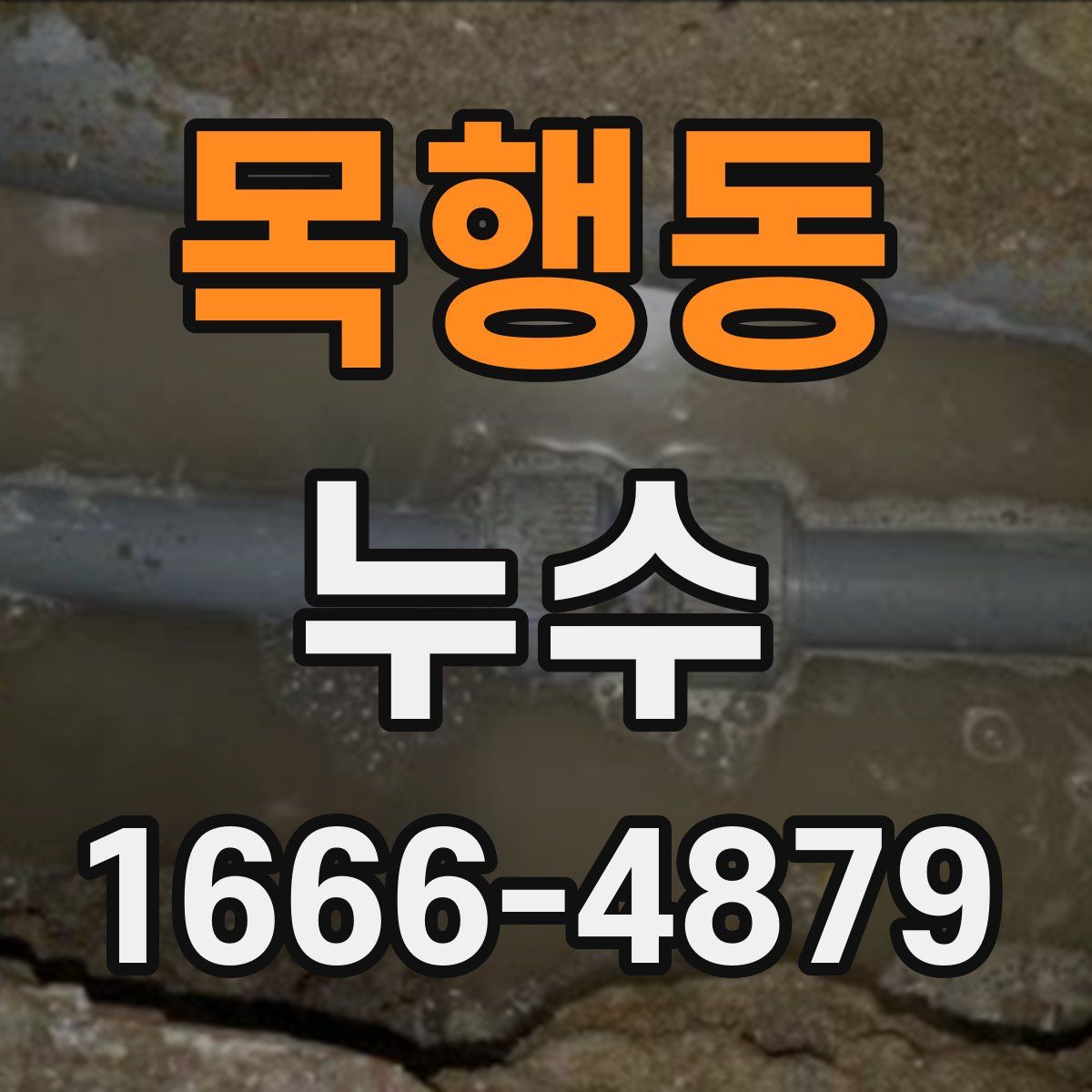 목행동 누수