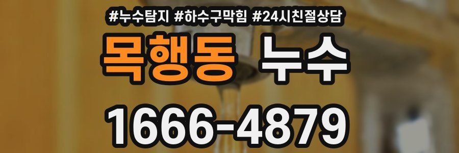 목행동 누수